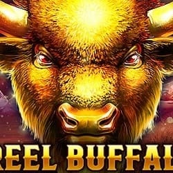 1 Reel Buffalo game cover