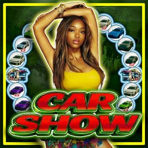 Car Show Spinner game cover